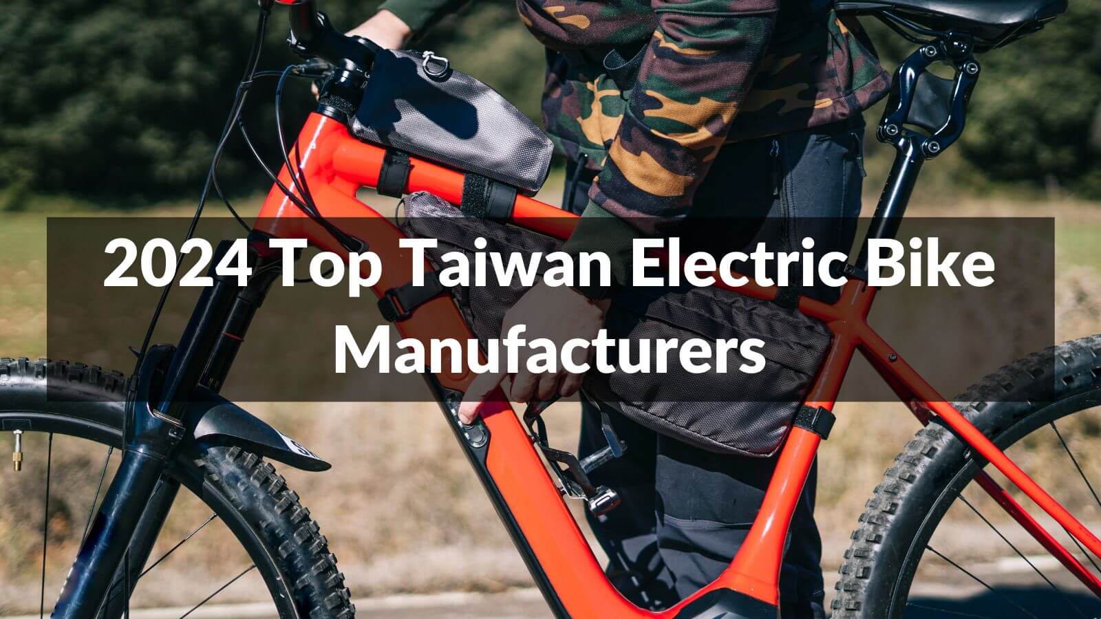 Top electric bike manufacturers sale