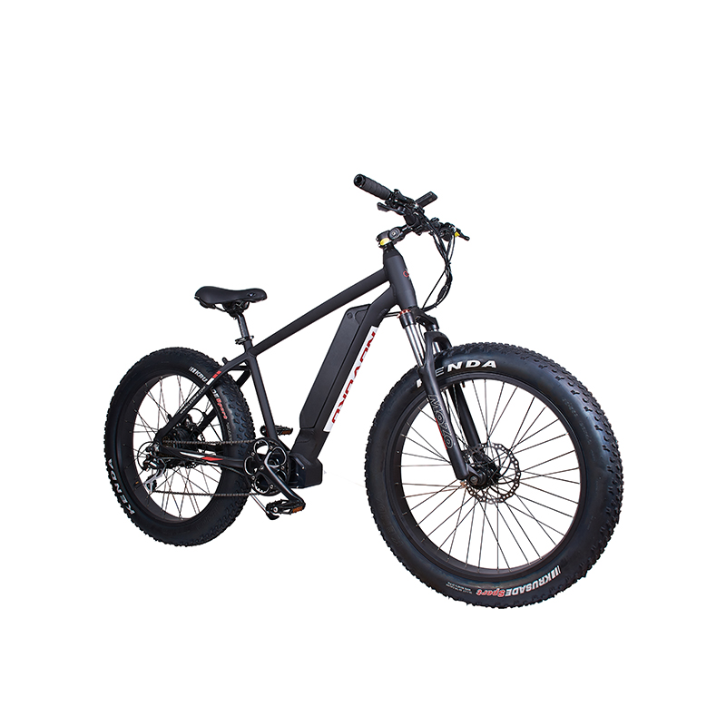 best economy mountain bike